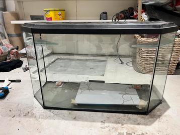 Terrarium te koop moet weg!! beschikbaar voor biedingen