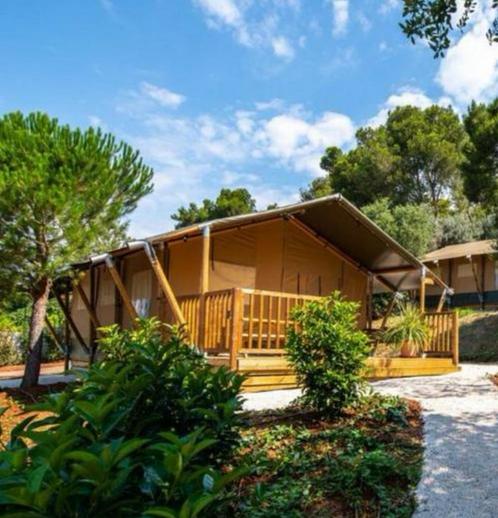 Luxe Safaritent, + VLOER 7 persoons |NIEUW|, Caravans en Kamperen, Tenten, meer dan 6, Nieuw, Ophalen of Verzenden