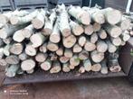 Openhaardhout, mooie elzenstammen, per m3, Tuin en Terras, Haardhout, 6 m³ of meer, Ophalen, Elzenhout, Stammen