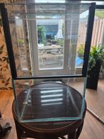 Terarium 25x25x40., Ophalen, Terrarium of Paludarium