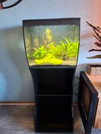 Te koop wegens overstap naar groter  aqarium, Ophalen, Zo goed als nieuw, Gevuld zoetwateraquarium
