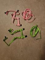 2 tuigjes voor kittens, Ophalen of Verzenden, Zo goed als nieuw