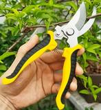 snoeischaar - de laatste voor € 5,00, Ophalen of Verzenden, Nieuw, Overige soorten