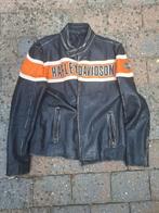 Harley Davidson motorjas Mt L, Motoren, Kleding | Motorkleding, Ophalen, Tweedehands, Heren, Jas | leer