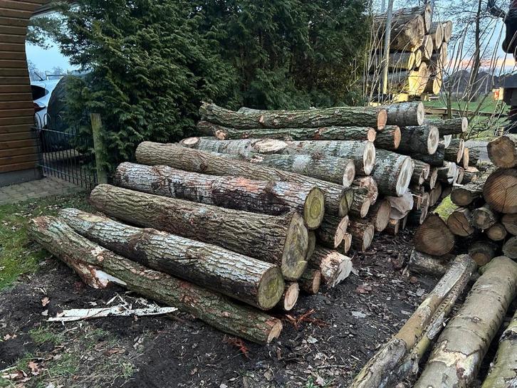 Stamhout mix populier en wilg, Tuin en Terras, Haardhout, Stammen, Overige houtsoorten, 6 m³ of meer, Ophalen