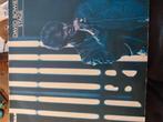 DAVID BOWIE.  STAGE, Antiek en Kunst, Ophalen of Verzenden