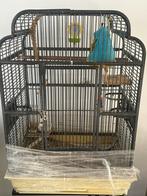 Grote Vogel kooi met accessoires, Ophalen of Verzenden, Zo goed als nieuw, Metaal, Vogelkooi