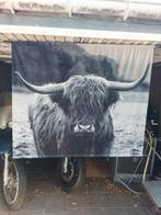 Groot wanddoek met foto schotse hooglander, Ophalen, Zo goed als nieuw, Schilderij, 75 cm of meer