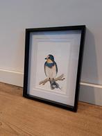 Aquarel Zwaluw Illustratie | Vogel schilderij, Huis en Inrichting, Minder dan 50 cm, Nieuw, Ophalen of Verzenden, Minder dan 50 cm