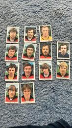 Fc twente panini vanderhout 1977-1978, Ophalen of Verzenden, Zo goed als nieuw, F.C. Twente, Poster, Plaatje of Sticker