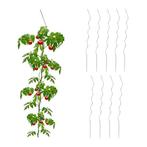 Planten steun spiraal set van 10 stuks, Tuin en Terras, Ophalen
