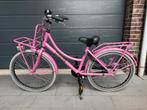 Alpina cargo roze 22 inch, Fietsen en Brommers, Fietsen | Meisjes, Ophalen, 22 inch, Alpina, Handrem