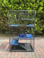 Knaagdierkooi chinchilla, rat, Ophalen, Gebruikt