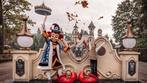 Efteling tickets (2 stuks beschikbaar), Tickets en Kaartjes, Drie personen of meer, Ticket of Toegangskaart