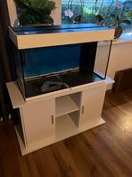 Juwel 80x35x50cm plus onderkast., Ophalen of Verzenden, Zo goed als nieuw, Leeg aquarium