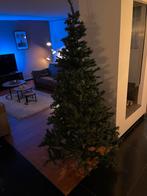 Neppe Kerstboom gratis afhalen, Ophalen