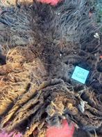 nr 24 Geschoren vacht van een skudde, Ophalen of Verzenden, Nieuw