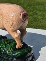 VARKEN / GIETIJZER, Ophalen of Verzenden, Nieuw, Boerderijdier, Beeldje of Figuurtje