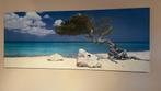 Ikea schilderij divi divi boom Aruba, Huis en Inrichting, Woonaccessoires | Schilderijen, Tekeningen en Foto's, Ophalen, 50 tot 75 cm