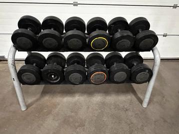 Technogym Dumbells 30kg t/m 42kg + Opbergrek beschikbaar voor biedingen
