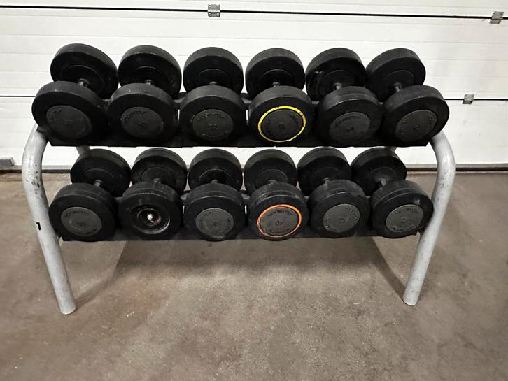 Technogym Dumbells 30kg t/m 42kg + Opbergrek, Sport en Fitness, Fitnessmaterialen, Gebruikt, Dumbbell, Ophalen