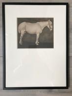 Jan Mankes 1889-1920 / Originele Heliogravure wit Paard 1927, Antiek en Kunst, Ophalen of Verzenden