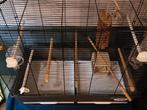 Vogel kooi compleet!, Dieren en Toebehoren, Ophalen of Verzenden, Metaal, Vogelkooi