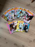 PENNY PAARDEN PAKKET (13 delig), Meerdere comics, Ophalen of Verzenden, Gelezen, Europa