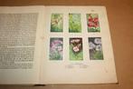 De bloemen in onzen tuin 1926 Thijsse - Compleet Album, Boeken, Prentenboeken en Plaatjesalbums, Ophalen of Verzenden, Gelezen