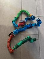 Ringen kippen duiven gevogelte, Geslacht onbekend, Kip