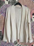 Herzen’s angelegenheit prachtig vest maat 36, Ophalen, Zo goed als nieuw, X, Maat 36 (S)