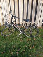 Trek hybride damesfiets, maat 54cm, 28inch zwart, 53 tot 56 cm, Ophalen, Gebruikt, Overige merken