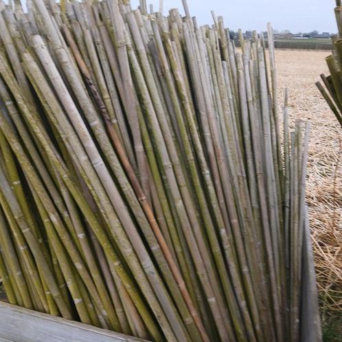 Te koop partij gebruikte tonkinstokken/bamboestokken., Tuin en Terras, Palen, Balken en Planken, Gebruikt, Overige typen, Minder dan 180 cm