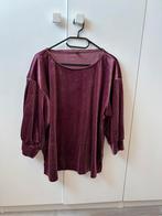 Bordeaux rood velours dun truitje - Maat XL - Hema, Ophalen of Verzenden, Zo goed als nieuw, Maat 46/48 (XL) of groter, Rood