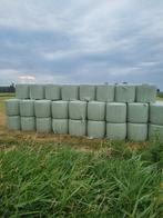 midi balen hooi, Ophalen of Verzenden, Vee