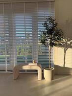 NIEUW Kunst Olijfboom 180cm - exclusief bloempot, Huis en Inrichting, Kamerplanten, Overige soorten, In pot, 150 tot 200 cm, Groene kamerplant