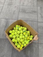 100 gebruikte tennisballen, Ophalen, Gebruikt, Hondenballen
