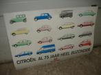 reclameplaat Citroën al 75 jaar heel bijzonder, zie fot/omsc, Ophalen, Zo goed als nieuw, Auto's