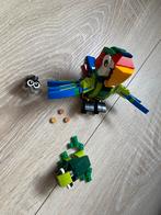 Lego Creator 31031 Regenwoud Dieren - Complete Set, Ophalen of Verzenden, Zo goed als nieuw, Complete set, Lego