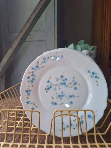 2 Arcopal Veronica diner borden, vergeet-me-nietjes, 70's  beschikbaar voor biedingen