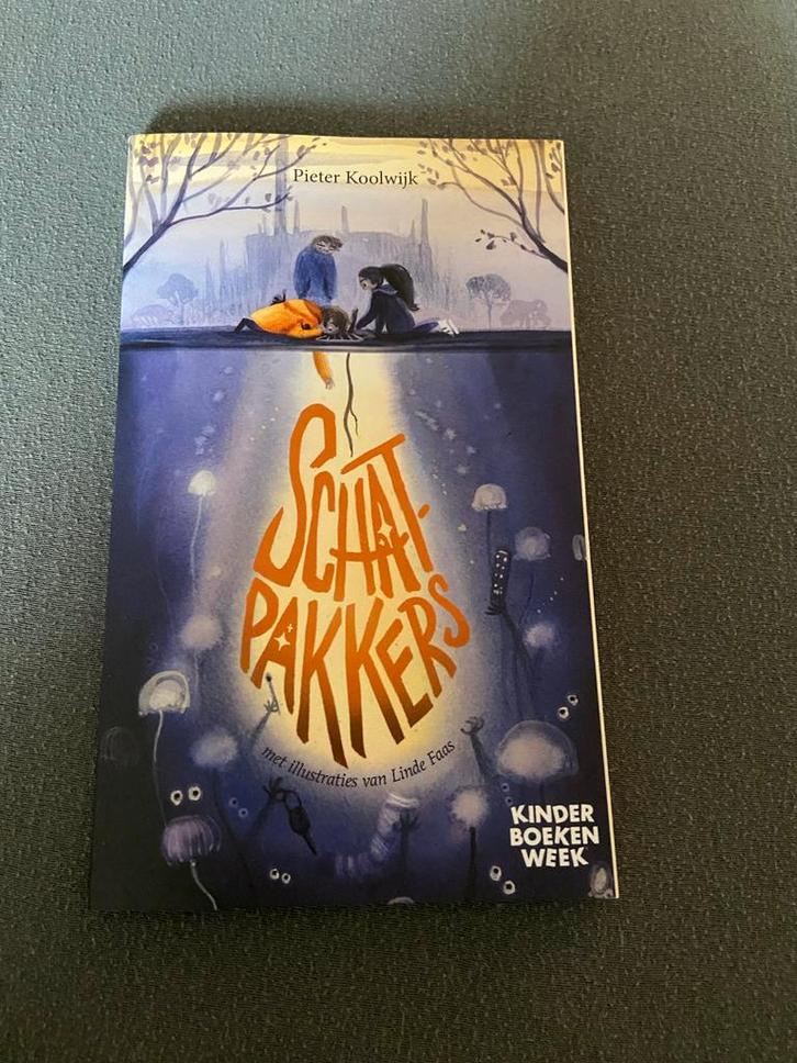 Schatpakkers - Pieter Koolwijk, Boeken, Kinderboeken | Jeugd | onder 10 jaar, Zo goed als nieuw, Fictie algemeen, Ophalen of Verzenden