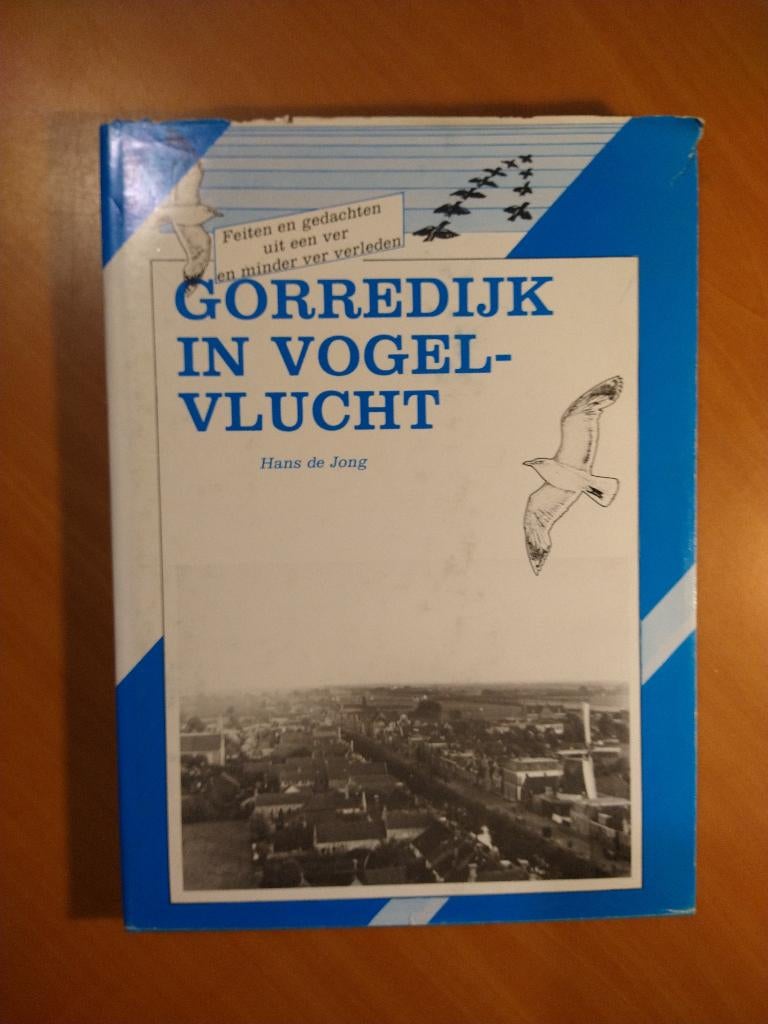 Gorredijk in vogelvlucht, Boeken, Geschiedenis | Stad en Regio, Ophalen of Verzenden, Gelezen