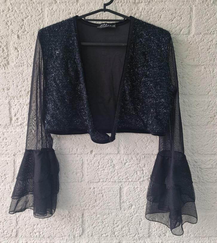 Zwarte croptop met mesh mouwen van lissa paris maat M, Kleding | Dames, Tops, Zwart, Lange mouw, Ophalen of Verzenden