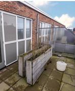Plantenbakken, Tuin en Terras, Bergingen en Tuinkasten, Ophalen, Gebruikt, Hout, Overige typen
