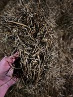 Grasbalen voordroog kuil, Dieren en Toebehoren, Ophalen, Vee