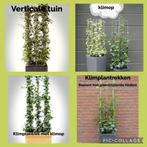 NIEUW!!! plantensteun rekken voor steun vragende planten, Minder dan 100 cm, Ophalen of Verzenden