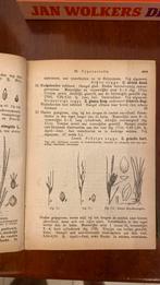 Geïllustreerde Schoolflora - H. Heukels, Ophalen of Verzenden, 20e eeuw of later, Gelezen