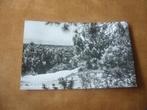 TERSCHELLING  >  EEN EN AL NATUUR, Verzamelen, Ansichtkaarten | Nederland, Verzenden, 1940 tot 1960, Gelopen, Waddeneilanden