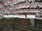 Oud hollandse dakpannen rood, Doe-het-zelf en Verbouw, Ophalen, Gebruikt, Steen of Klei, 15 m² of meer