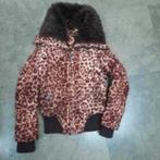 Jas 146 lekker warm coolcat, Kinderen en Baby's, Kinderkleding | Maat 146, Verzenden, Zo goed als nieuw, Meisje, Jas